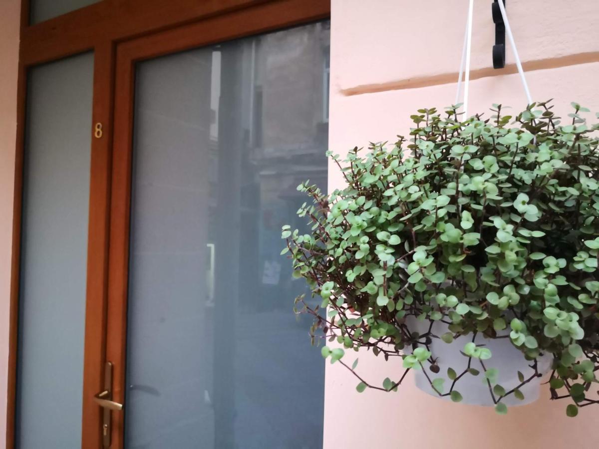 Затишні Апартаменти, Вулиця Дерибасівська, 13 Odessa Extérieur photo