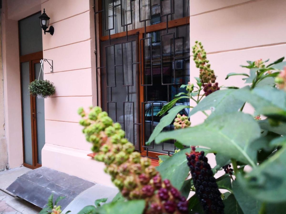 Затишні Апартаменти, Вулиця Дерибасівська, 13 Odessa Extérieur photo
