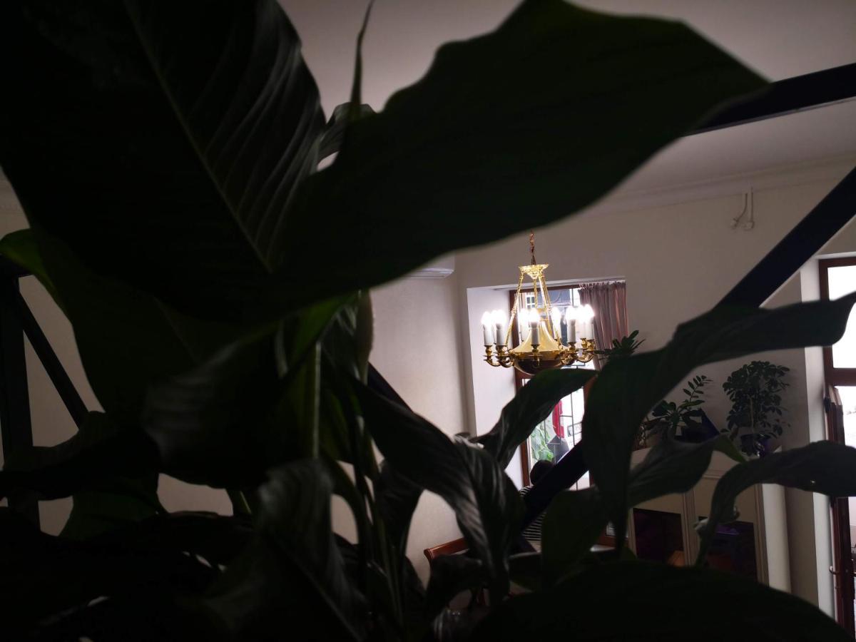 Затишні Апартаменти, Вулиця Дерибасівська, 13 Odessa Extérieur photo